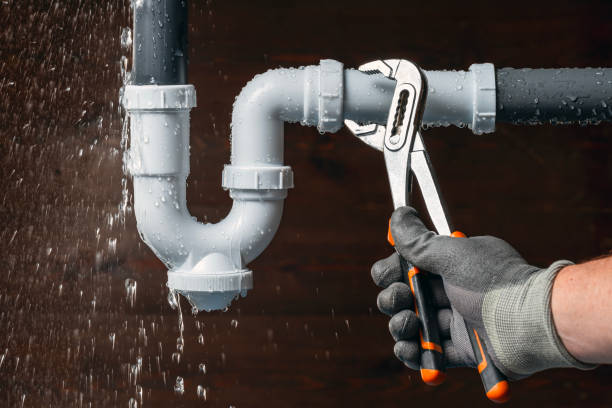Professional Plumbing technician working in Birdsnest, VA